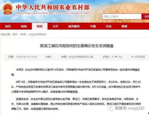 八村最新爆料消息新闻报道,揭秘背后惊人真相！”