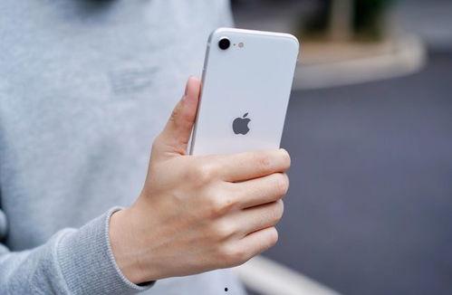 最新iPhoneSE爆料,全新爆料揭示设计升级与性能革新！